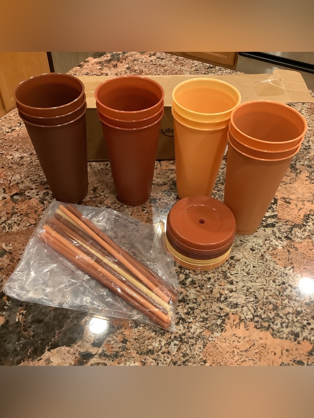 Multi-Color Plastic Cups Set - Terra Cotta & Amber Tones - 12 Cups W/Lid & Straw